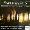 escuchar en línea Olivier De Spiegeleir - Forestissimo Un Hommage A La ForetA Tribute To Forest