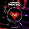 lataa albumi Sultan + Shepard - Thinking Of You