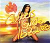 Various - Clubbers Guide Ibiza 08