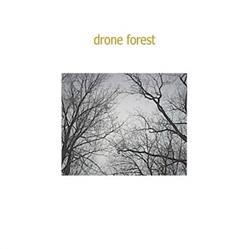 Download Drone Forest - Drone Forest