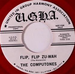 Download The Computones - Flip Flip Zu Wah Summer Night