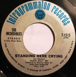 Download The Incredibles - Standing Here Crying All Of A Sudden