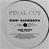 descargar álbum Raw Elements - Raw Basics