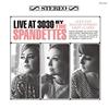 écouter en ligne The Spandettes - Live At 3030