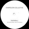 télécharger l'album Chameleon Collective, Rui Da Silva - Snowball Rui Da Silva What I feel For You Remix