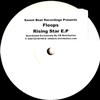 baixar álbum Floops - Rising Star