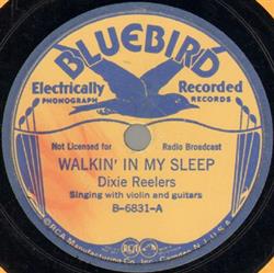 Download Dixie Reelers - Walkin In My Sleep Father Dear Father