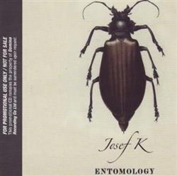 Download Josef K - Entomology