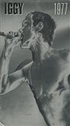 Album herunterladen Iggy Pop - Iggy 1977