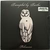 ascolta in linea Trampled By Turtles - Palomino