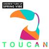 descargar álbum Andrew Turn Up - Spring Vibe