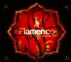 online anhören Various - Flamenco New Grooves