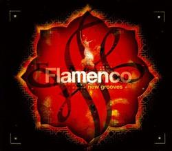 Download Various - Flamenco New Grooves