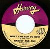 last ned album Harvey & Ann - What Can You Do Now