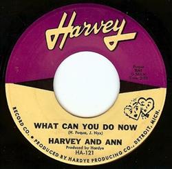 Download Harvey & Ann - What Can You Do Now