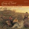 télécharger l'album Vaughan Williams Butterworth Somervell Christopher Maltman Roger Vignoles - Songs Of Travel A Shropshire Lad A Broken Arc