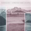 descargar álbum Handguns Forever Came Calling - Handguns Forever Came Calling