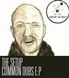 descargar álbum The Setup - Common Dubs