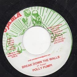 Download Polly Pumpi - Break Down The Walls