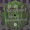 ladda ner album Amir Alexander - Burrow Darkness Eternal