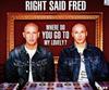 baixar álbum Right Said Fred - Where Do You Go To My Lovely