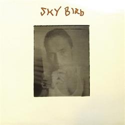 Download Sky Bird - Sky Bird