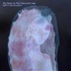 last ned album The Delay In The Universal Loop - Split Consciousness