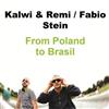 ouvir online Kalwi & Remi Fabio Stein - From Poland To Brasil