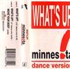 descargar álbum Minnesota - Whats Up Dance Version