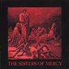 baixar álbum The Sisters Of Mercy - Dont Turn On The Lights Live At Bochum 30051984