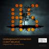 descargar álbum Underground Connection - I Cant Believe