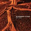 online anhören Blackberry Clouds - Dry Wind