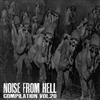 baixar álbum Various - Noise From Hell Compilation Vol20