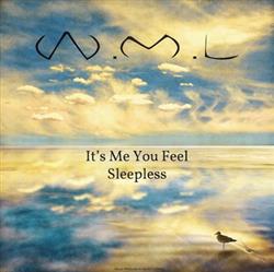 Download WML - Its Me You Feel