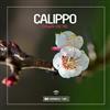 escuchar en línea Calippo - Down On Me