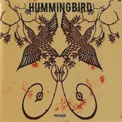 Download Hummingbird - Prisoner