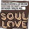 descargar álbum Kelvin Sylvester & Lee Wilson - Everything She Wants Dr Packer Soulful Mix