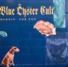 Album herunterladen Blue Öyster Cult - BurninFor You