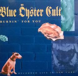 Download Blue Öyster Cult - BurninFor You