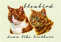 Download Bleubird - Down Like Brothers