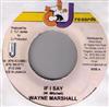 Wayne Marshall - If I Say