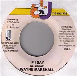 Download Wayne Marshall - If I Say