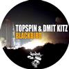 online anhören Topspin & Dmit Kitz - Blackbird