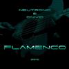 descargar álbum Neutronic & Onivid - Flamenco