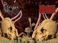 Download Ptoma Psychotic Homicidal Dismemberment - 1000 Years To Be Digested