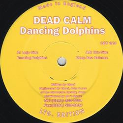 Download Dead Calm - Dancing Dolphins