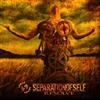 escuchar en línea Separation Of Self - Resolve