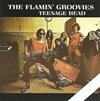 last ned album The Flamin' Groovies - Teenage Head