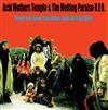 Acid Mothers Temple & The Melting Paraiso UFO - Have You Seen The Other Side Of The Sky