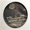 baixar álbum Sylvester - Menergy House Remix Im Not Ready